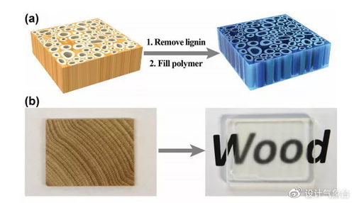 可替代玻璃的透明木材 強度超過鋼的竹材料,你見過嗎