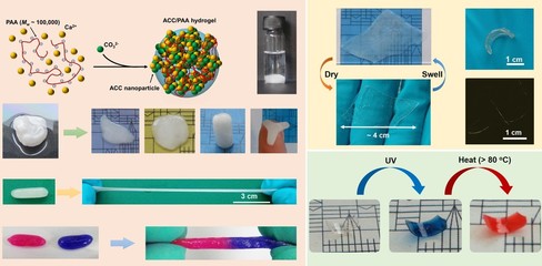仿生材料 開啟新材料時(shí)代的前沿探索